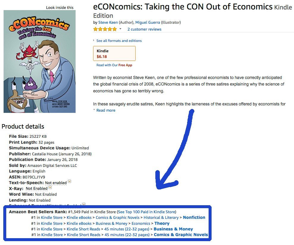 eCONomics Amazon US #1 Best Seller by Steve Keen, Miguel Guerra & Suzy Dias