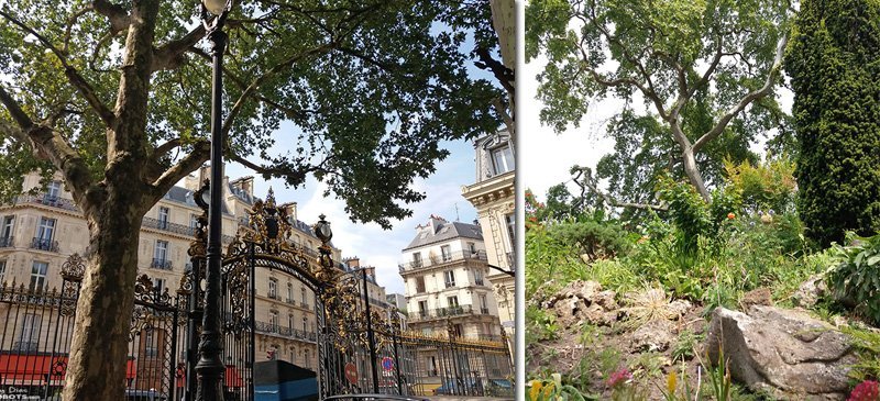 Paris Parc Monceau by Suzy Dias