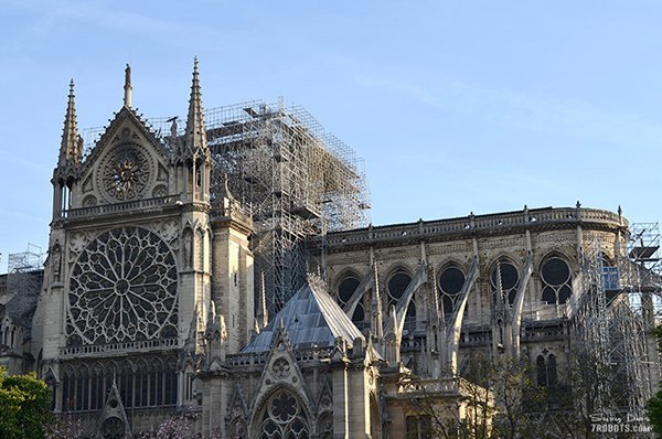 Notre Dame after the fire. Photo by Suzy Dias