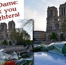 Paris Pays Tribute to the Firefighters who helped Save Notre Dame