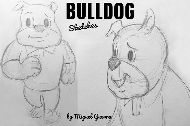 Cartoon Bulldog sketches by Miguel Guerra