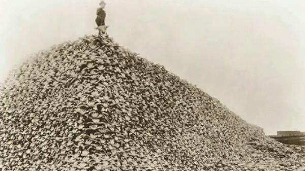Podcast ep 4: Native American Buffalo pile